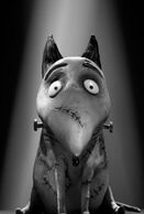 Sparky (Frankenweenie)