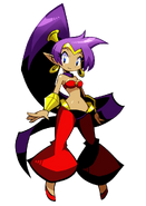 Shantae (Shantae) can cast a variety of magic spells by performing different belly dances.