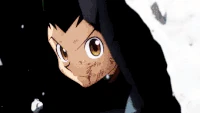 Gon's Payback.gif (2.99 MB) Gon Freecs (Hunter x Hunter) pays Hisoka Marrow back.