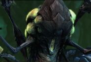 Abathur (Starcraft) can spawn numerous locusts to attack his enemies.