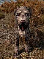 Barbas (Skyrim)