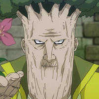 Warrod Sequen (Fairy Tail) has immense wisdom, being one of those who co founded the Fairy Tail guild.