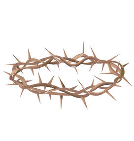 Crown-of-thorns-vector-25735