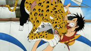 A Leopard Human, Rob Lucci (One Piece) became an "animalistic" or Zoan class Devil Fruit user after eating the Cat-Cat Fruit/Neko Neko no Mi: Model Leopard.