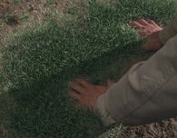 Ian Michaels \(Heroes\) accelerates the growth of
grass.