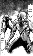 Yoma (Claymore) are creatures that feed on human flesh and blood. They can shape-shift into human form that allows them to live among humans.