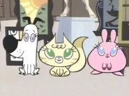 Fluffy Bunch (The Powerpuff Girls)