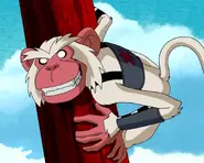 Monkey/Guardian of the Trees (Teen Titans 2003)