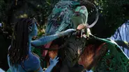 Na'vi forming a bond with a Mountain Banshee.webp (234 KB) Na'vi (Avatar) are capable of taming some of the animals of pandora like mountain banshees and dire horses as well as taming apex predators such as the great leonopteryx and the thanator.