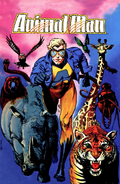 Animal Man (DC Comics)