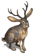 Jackalope.jpg (13 KB) Jackalope (Native American Mythology)
