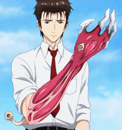 After being fused with Migi, Shinichi Izumi's (Parastye) brain is able to process visual stimulation to the point where a normal human appears to be standing still, when they're actually attacking him.