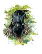 Brain mole.jpg (86 KB) Brain Mole (Dungeons and Dragons)