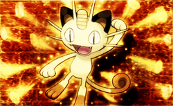 Meowth 52 Payday