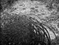 Good luck with that.