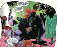 The Weeping Gorilla (Promethea)