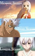 Mirajane, Elfman, and Lisanna Strauss (Fairy Tail) specialize in the use of Take Over magic, which works similar to this but with monster and demon souls...