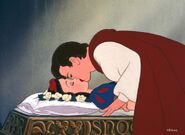 The Prince (Snow White and the Seven Dwarves) awakes Snow White with a kiss.