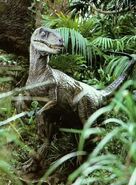 The Velociraptors of Jurassic Park (Jurassic Park series) are smarter than primates.