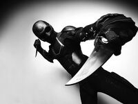 Black Noir (The Boys), stylized as the Silent Knight, had the skills of a master martial artist.