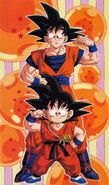 Son Goku (Dragon Ball Series)