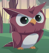 Owl (Animal Jam)