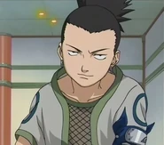 Shikamaru Nara.jpg (55 KB) With an IQ of over 200, Shikamaru Nara (Naruto) is an extremely talented strategist, thinking ten steps ahead of his enemies, instantly formulate a hundred elaborate plans, seeing flaws and weakness in his enemies, and used it against them.