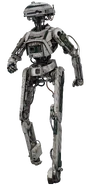 L337 (Star Wars).png (2.64 MB) L3-37 (Star Wars), a custom-made droid.