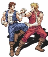 Billy and Jimmy Lee (Double Dragon)