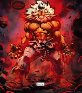Street Fighter- Akuma vs. Hell Shin Akuma
