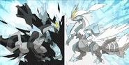 Black & White Kyurem.jpg (66 KB) Kyurem (Pokémon) can merge with either Zekrom or Reshiram and control Yin and Yang, respectively.