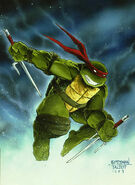 Raphael (Teenage Mutant Ninja Turtles), is skilled in use of his sais. He is able to use them for the kobudō to trap his enemies weapons within their prongs as well as use the pommel of his sais to increase the effect of his punches.