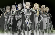 The Claymores (Claymore) are an order of augmented hunter-killers dedicated to the elimination of Yomas and Awakened Beings.