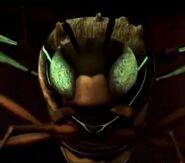 Parasitica wasp (Teenage Mutant Ninja Turtles 2012 TV series)