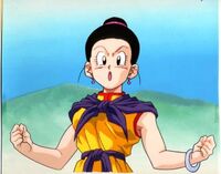 Having been trained by her father the Ox-King, Chi-Chi (Dragon Ball series) has strength and skill far above any normal woman. Even years after retiring from fighting she still was able to train her Half-Saiyan child Son Goten in martial arts