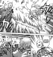 Priscilla's (Claymore) one arm lost...