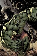 As the Hulk, Bruce Banner (Marvel Comics) becomes significantly larger than any regular human when he transforms into the Hulk.