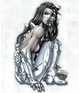 The Engineer (Wildstorm Comics) like her predecessor boasts a physiology neither flesh nor robotic in nature thanks to the nano fluid in place of her blood.