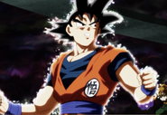 Goku (Dragon Ball) creates a skin-level Energy Barrier to protect against Lavender's poison.