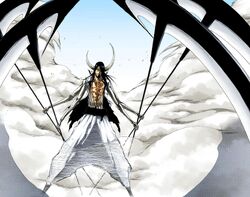 In the anime Bleach what does aspects of death mean for the Espadas? - Quora