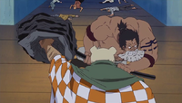 Masters of Six Powers/Rokushiki (One Piece) can use the Tekkai/Iron Body technique to make their bodies invulnerabilty and indestructible.