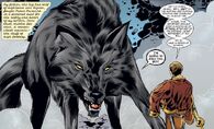 Bigby Wolf (Fables)