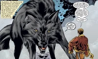 Bigby Wolf (Fables)