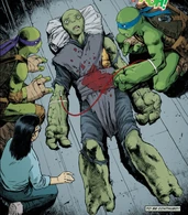 Mutantjennika.png (1.14 MB) ...and Jennika (IDW's Teenage Mutant Ninja Turtles) to mutate into a humanoid turtle after receiving a life-saving Blood Transfusion from Leonardo.