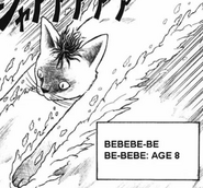 Bebebe-be Be-bebe (Bobobo-bo Bo-bobo) suffered a curse at an early point in his life, causing him to spend the majority of his childhood as a cat.