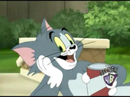 Tom Cat (Tom and Jerry)