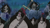 Group of Humandrills.png (715 KB) Humandrills (One Piece) are intelligent and powerful primates who self-taught themselves various skills solely from observation...