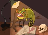 Miss Chameleon (My Gym Partner's a Monkey)