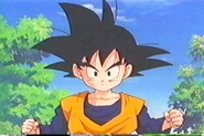 Son Goten (Dragon Ball Series)