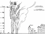 Most Titans range from 3 to 15 meters in height.